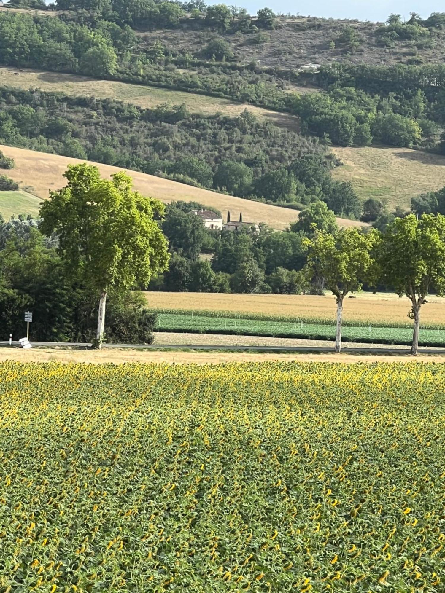 La Bastide De La Bogne Bed & Breakfast Vindrac-Alayrac Екстериор снимка